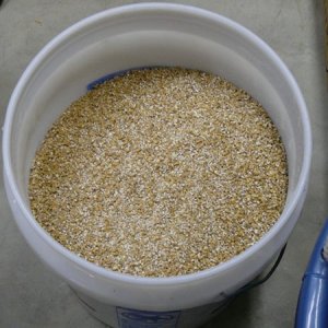 RIS-888Brewed01-01-08