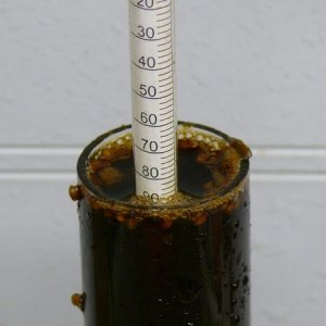 RIS-888Brewed01-01-08