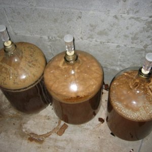 tresfermentations