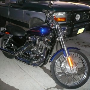 2006Sportster