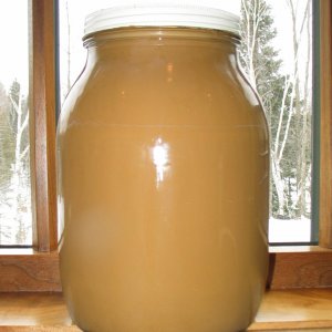 YeastWashing
