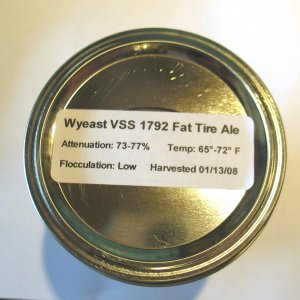 YeastWashing