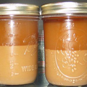 YeastWashing