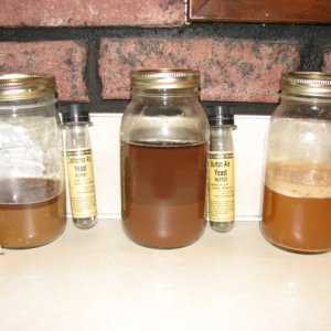 Yeastcount