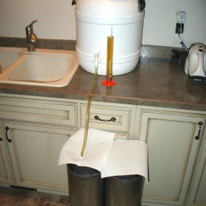 Kegging10GofBiermunchersBlonde