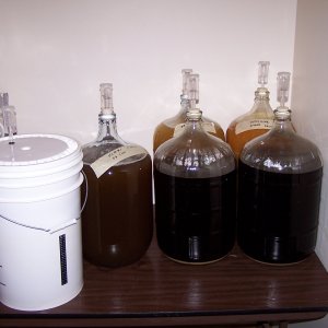 Brew_1_18_2008
