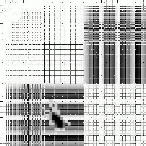 bug