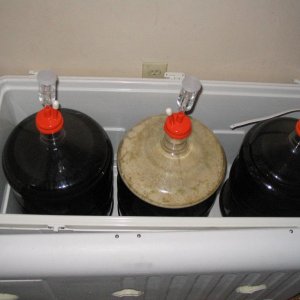 3CarboyFermentingChamber