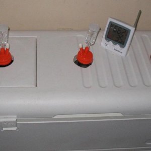 3CarboyFermentingChamber