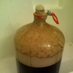 Outofcontrolfermentation