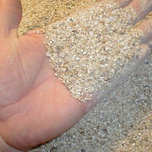 grains_close_up