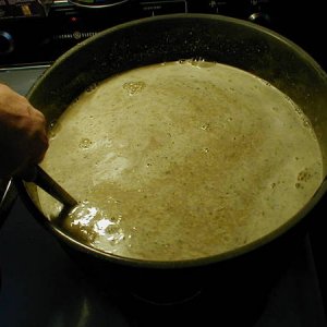 protein_rest