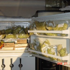 hops1