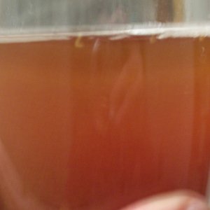 glassoffattireale
