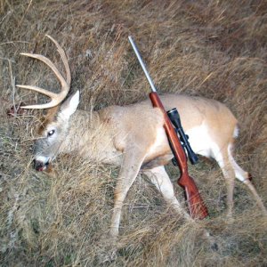 Rifle