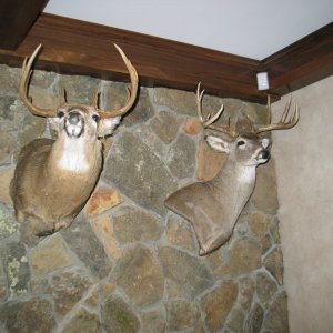 mounts_002
