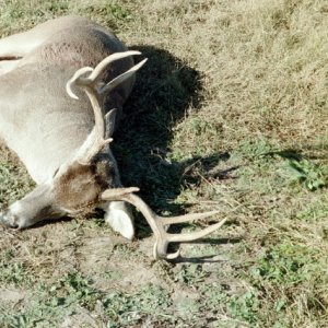 Texas