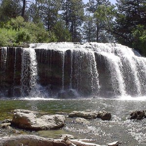 SnakeFalls