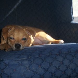 Charlie