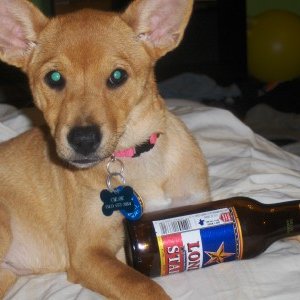 chloe-lonestar