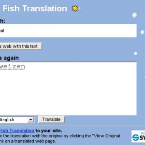 Alittletranslationformyfriends