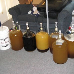 35gallonsofmeadandbeer