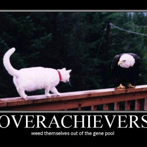 motivator8389211