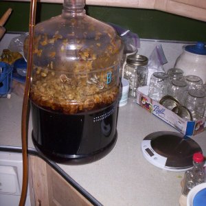 FirstTimeDryHopping