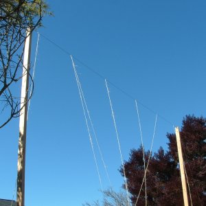 DSCF0653