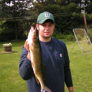 somethingfishy