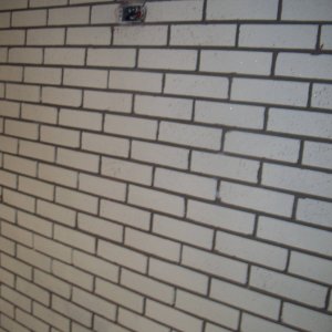 100_5351