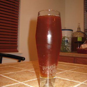 Pilsner1weekafterbottling