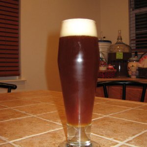 Pilsner2weeksafterbottling