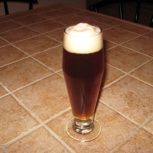 Pilsner2weeksafterbottling