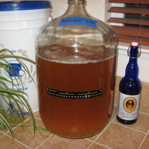 SpiderplantwantsmybrewBackback