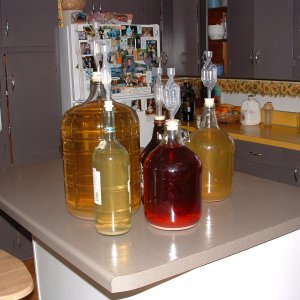 Rackingwinetoday