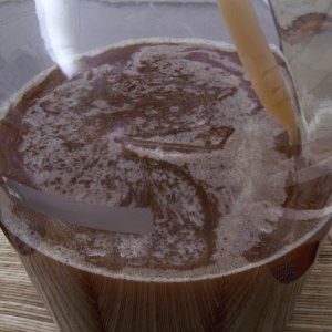 catsbeer_012