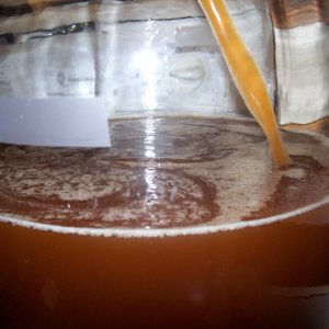 catsbeer_013