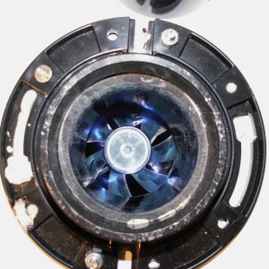 bluefan