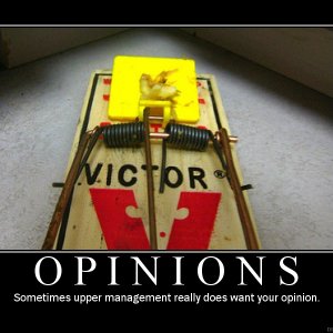 Opinions