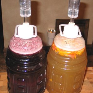 JoesAncientOrangeampGrapeMeads