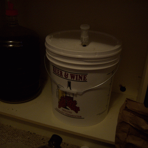 MarylandBrewDayBeerInPrimary