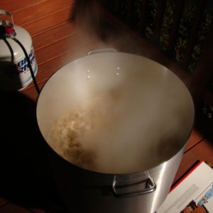 Boil_3-1-08