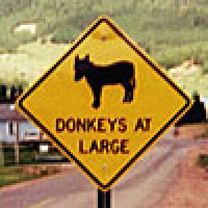 DonkeysAvatar