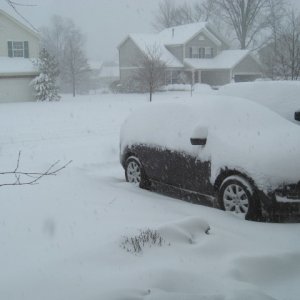 SnowydayinMarch