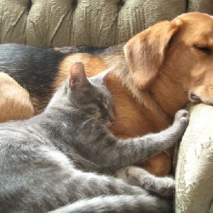 abby_otis_cuteness