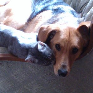 Abby_and_Otis_Making_Out