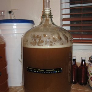 Kolsch-During