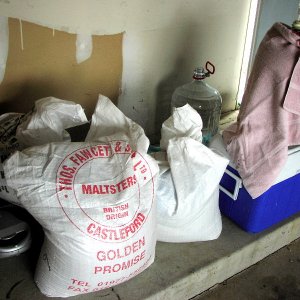 Brewery_Grains
