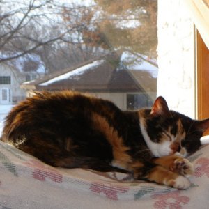 Frankie